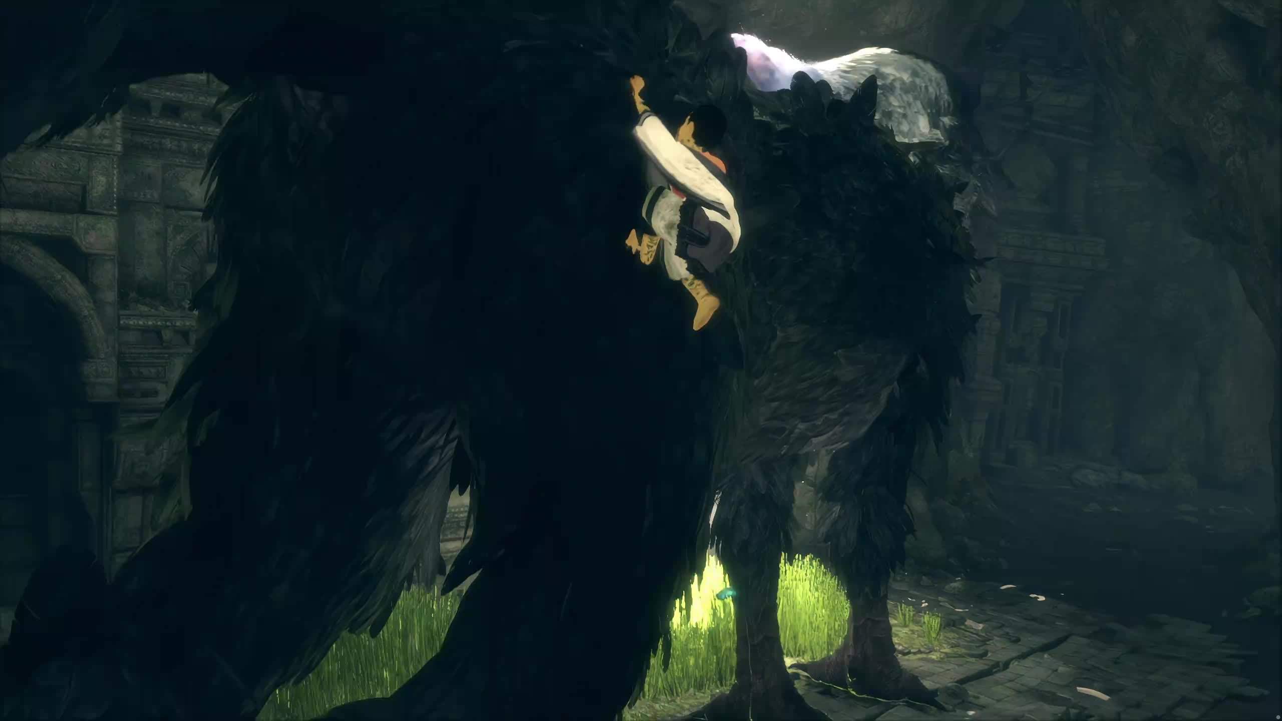 新主播,第一天直播有点紧张！