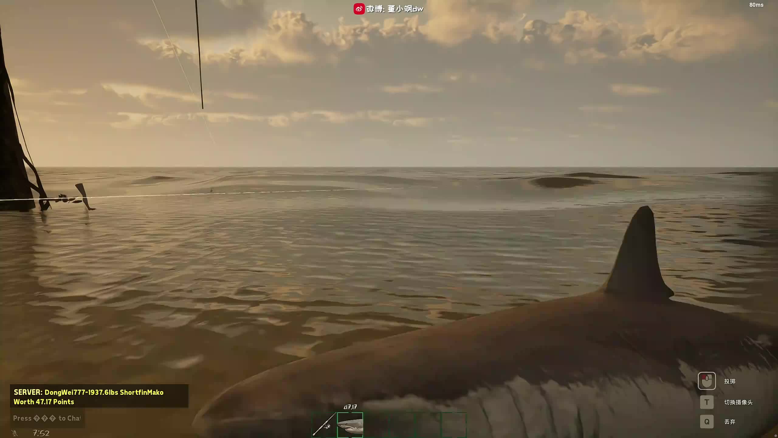 董导 云顶大师333分开打