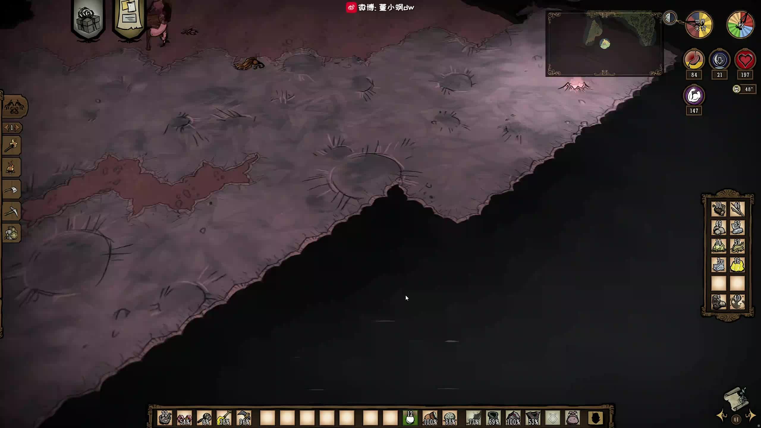 董导 饥荒联机版