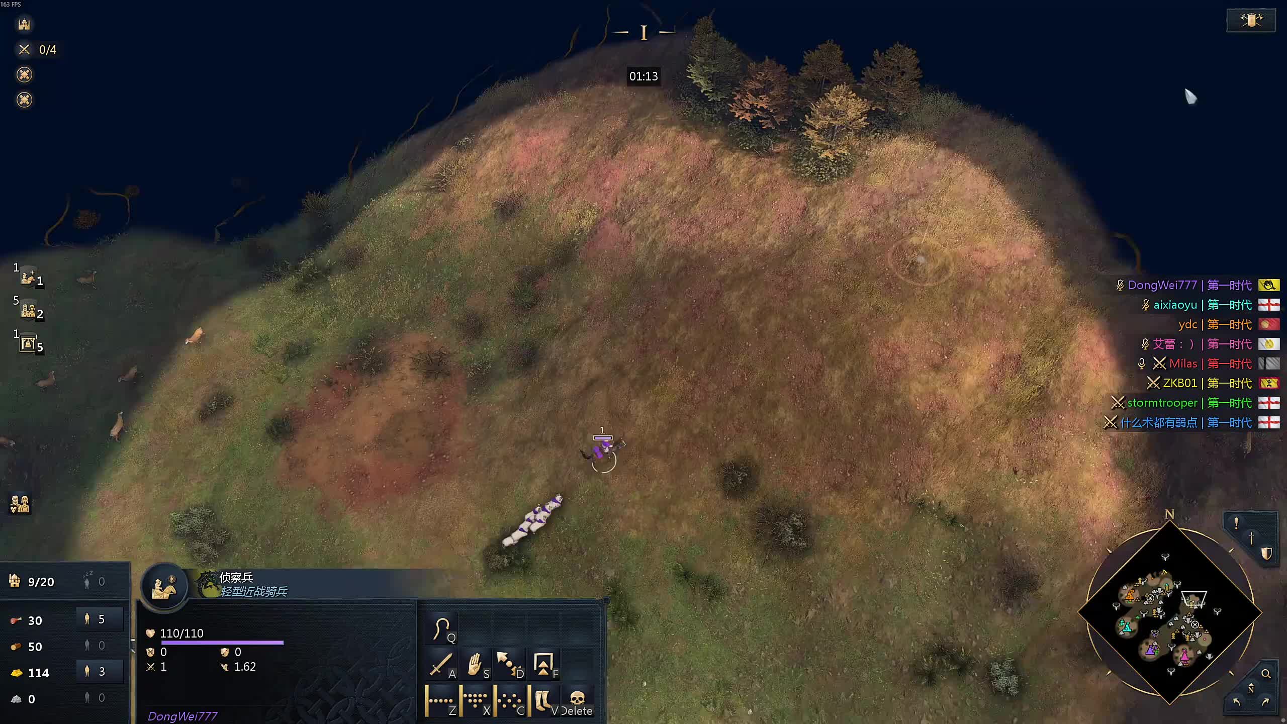 董导 帝国时代4 组排