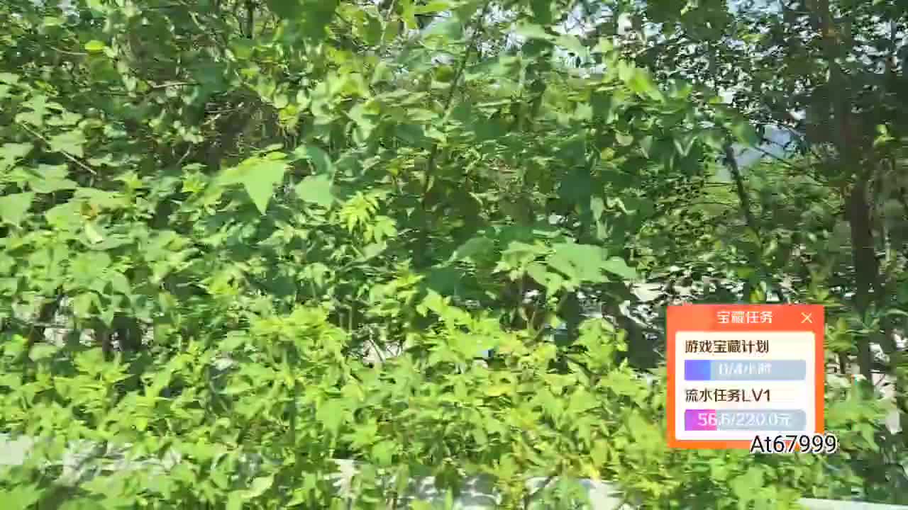 1995桂林团播玩一玩