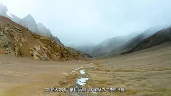 海納百川音樂直播_海納百川視頻直播 - 虎牙直播