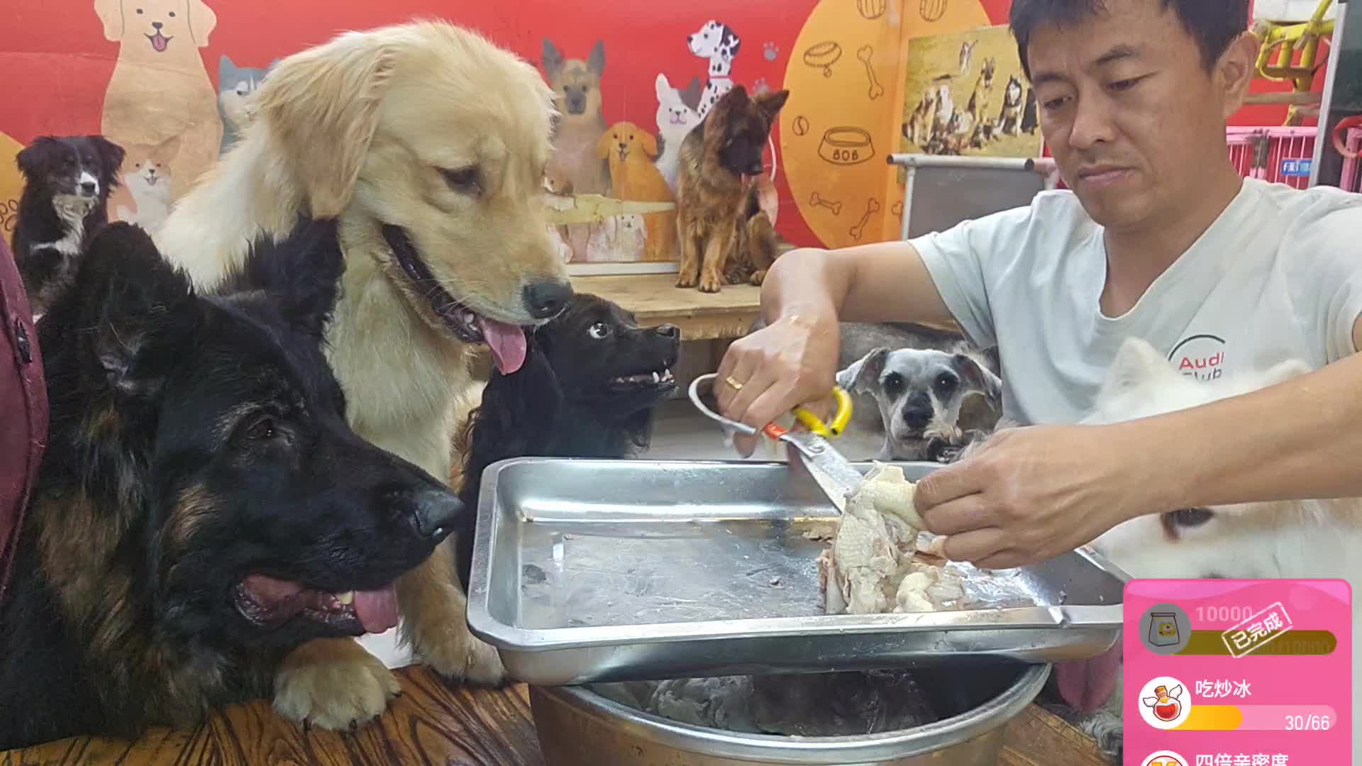 五月吃鸭子第二天。