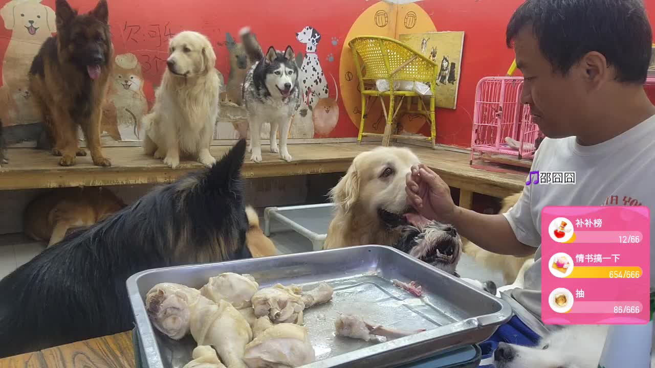 烤鱼小王子。