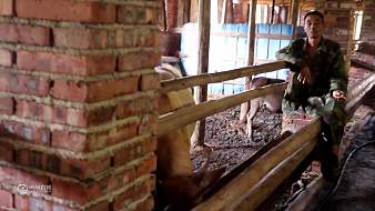 湘南阿杰虎牙地方直播_湘南阿杰視頻直播 - 虎牙直播