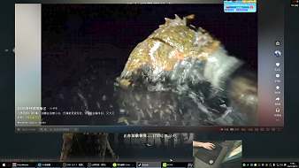 涂山-占七逃離塔科夫直播_涂山-占七視頻直播 - 虎牙直播