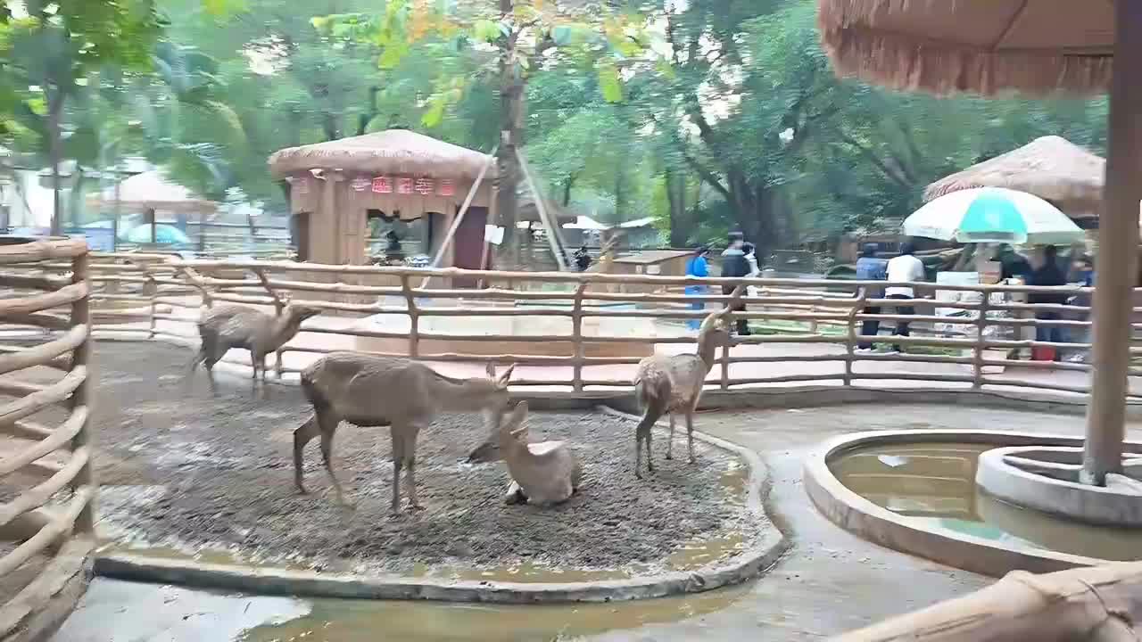 魔鬼月指挥部-抵达南宁