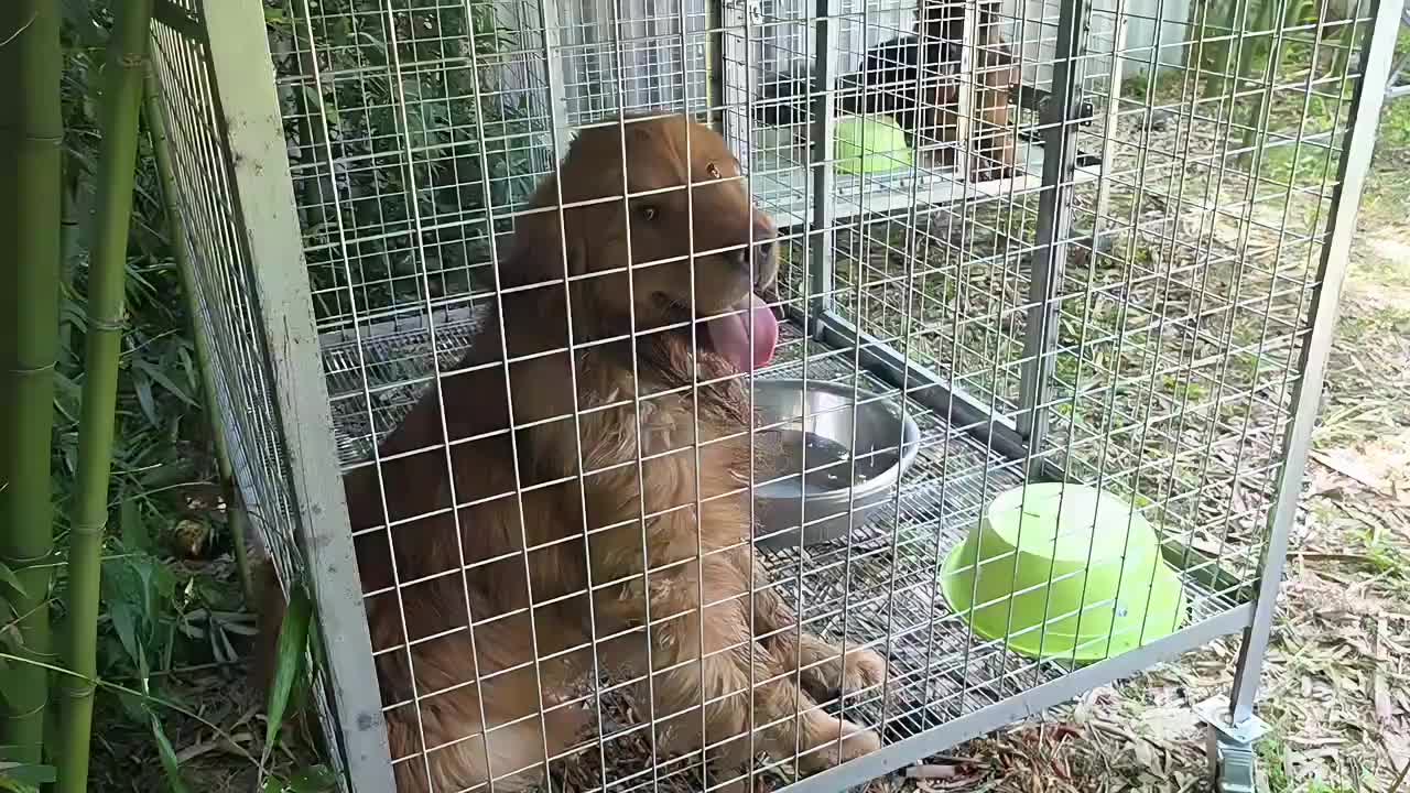 疯狂的庄园 相遇!