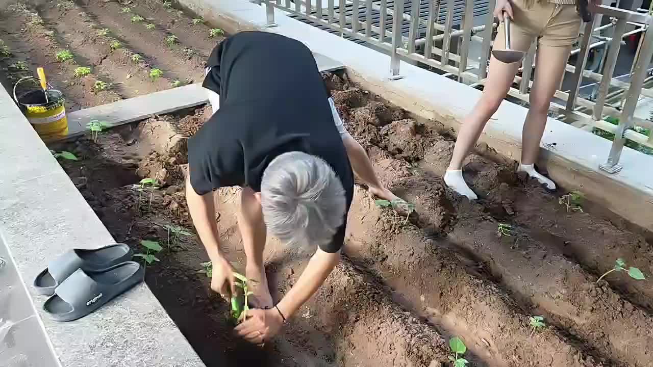 疯狂的庄园 相遇!