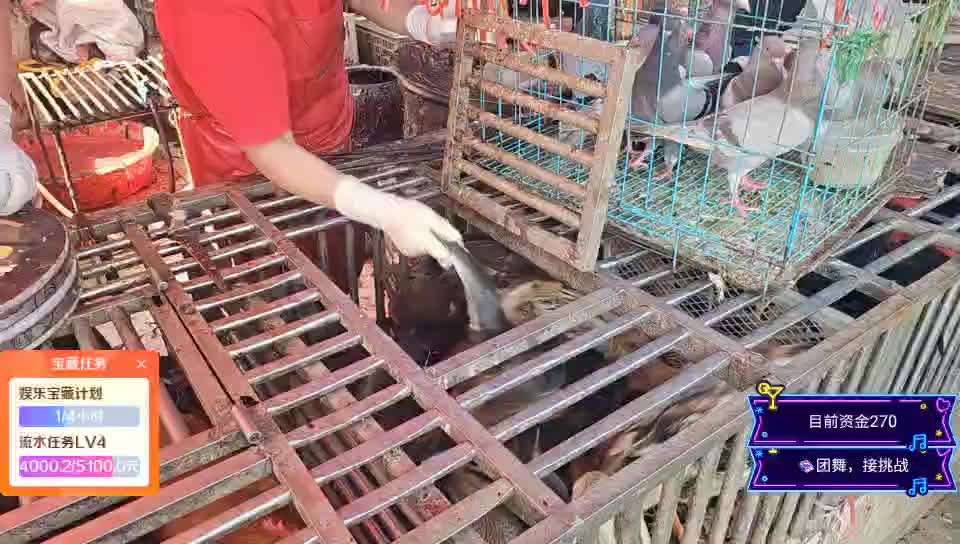 幸福一家人～买菜