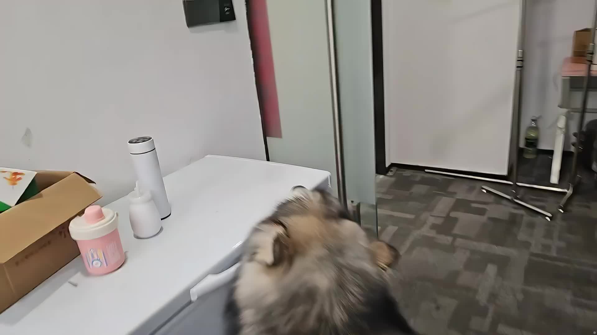 日常