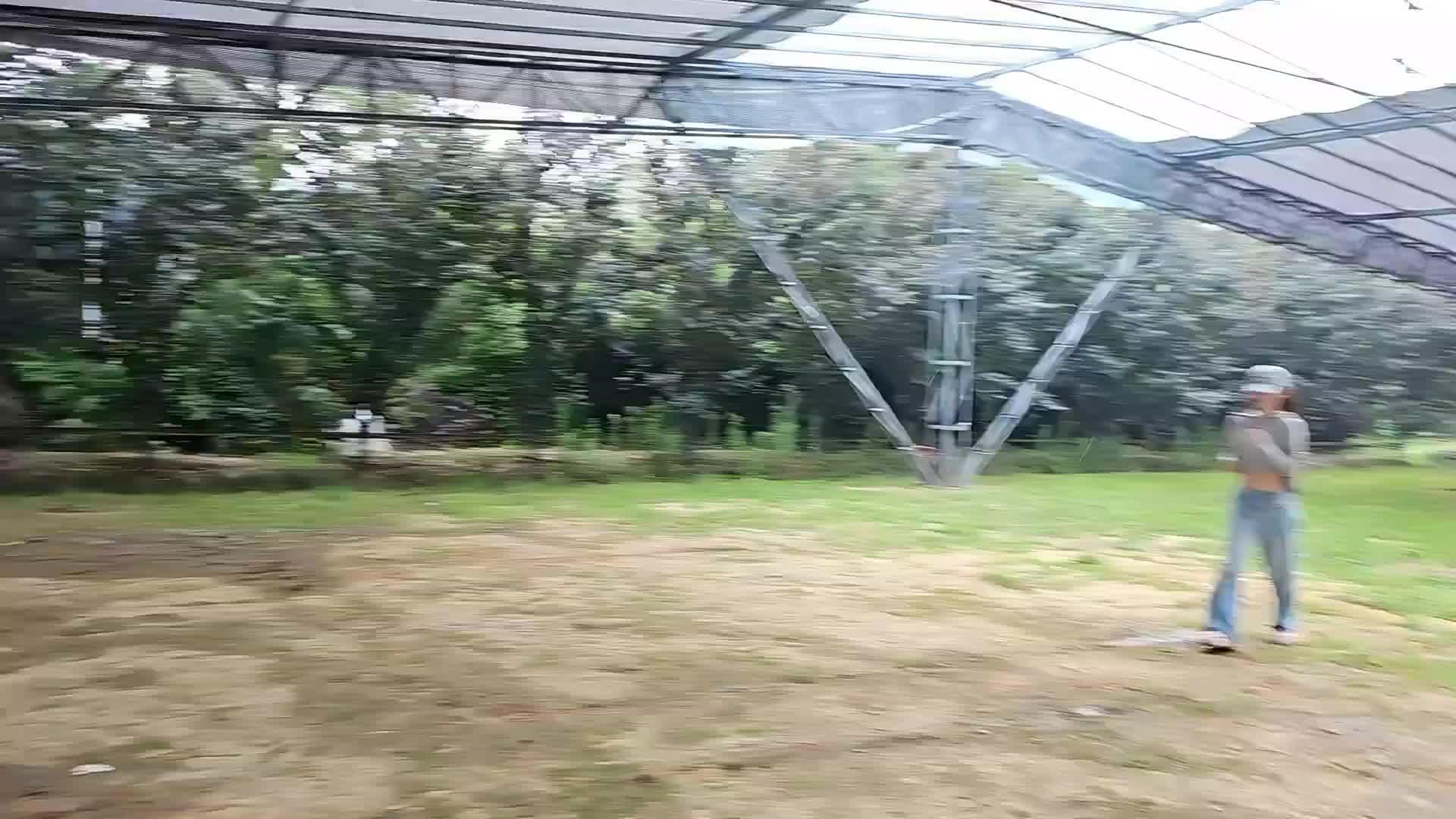 日常