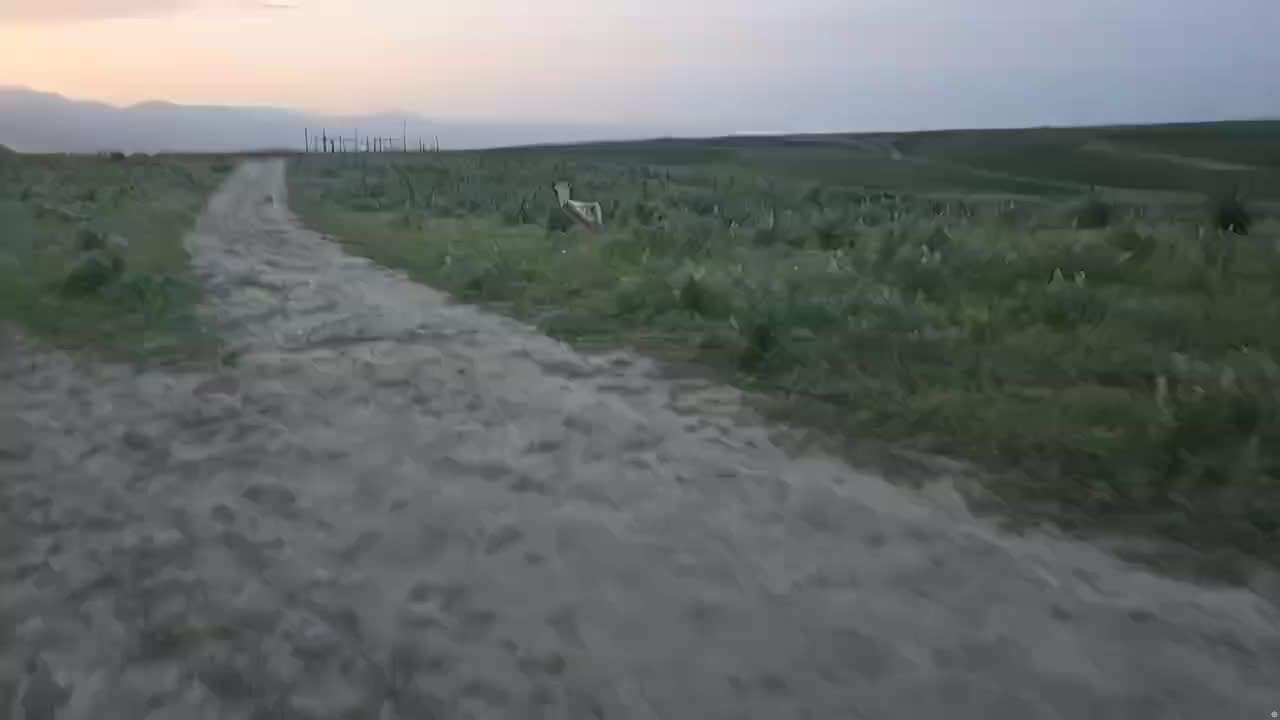 来都来了 伊犁
