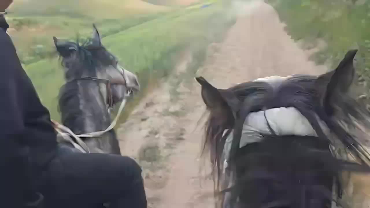 来都来了 伊犁