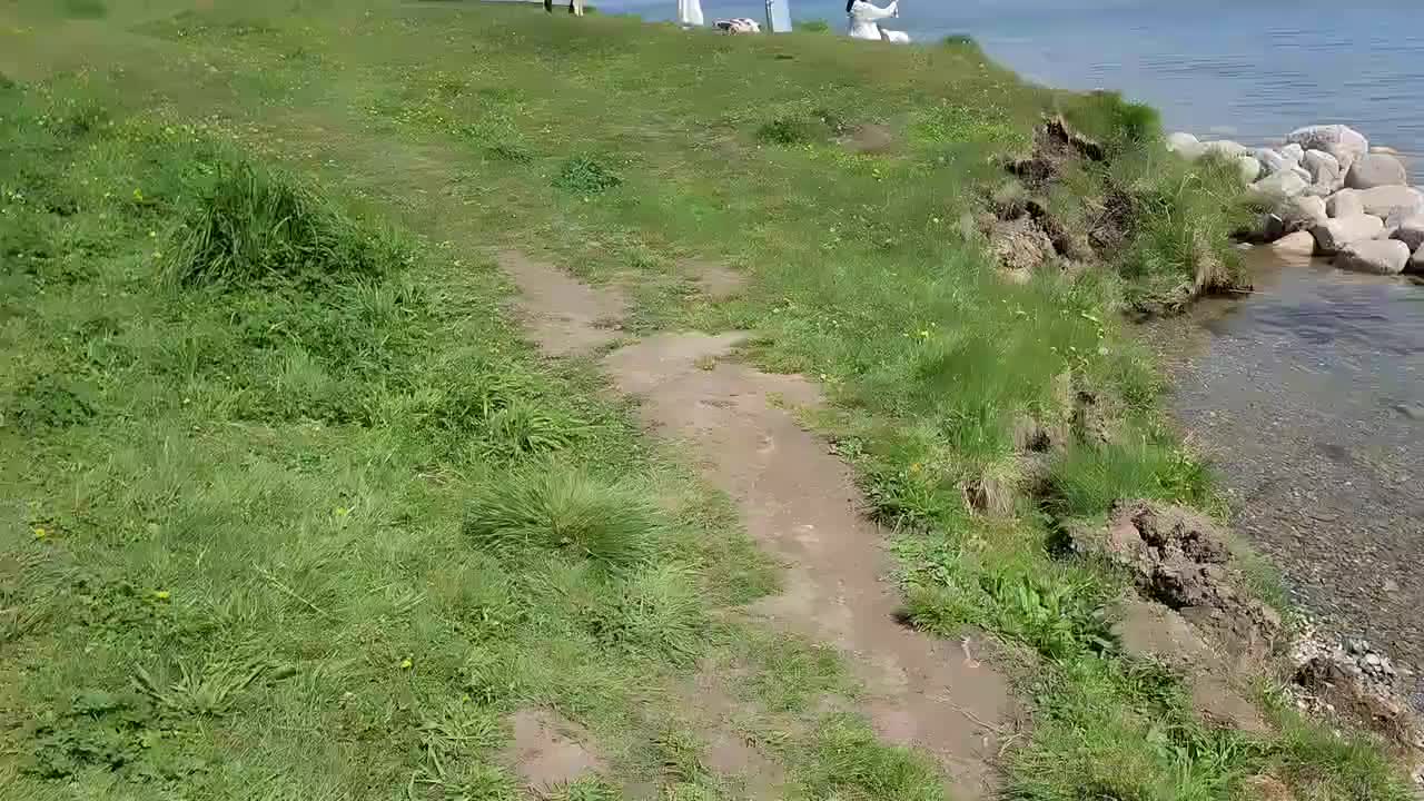 来都来了 伊犁