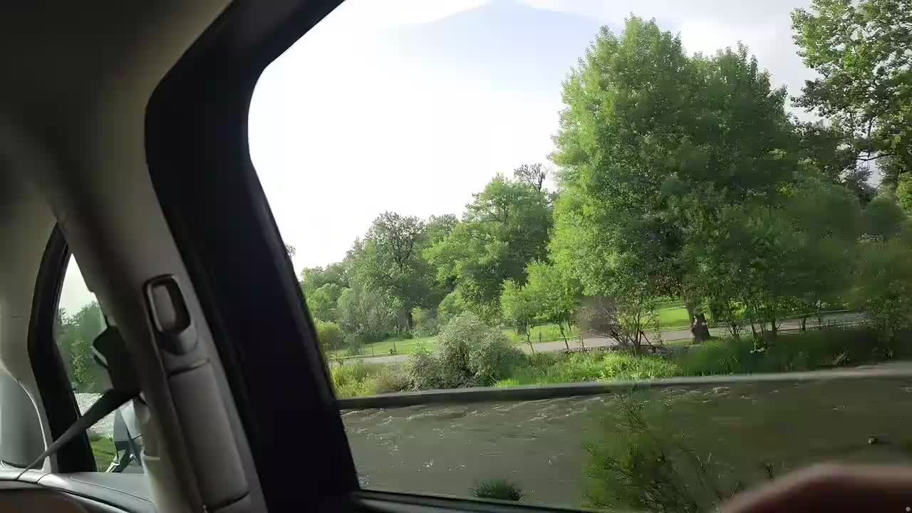 来都来了 伊犁