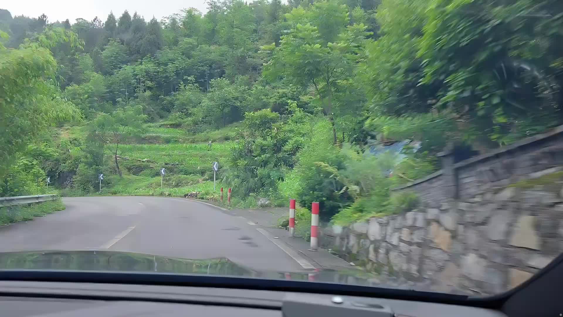 定团播场地