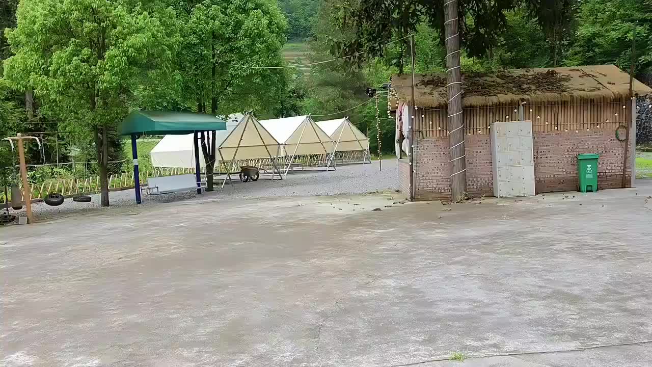定团播场地