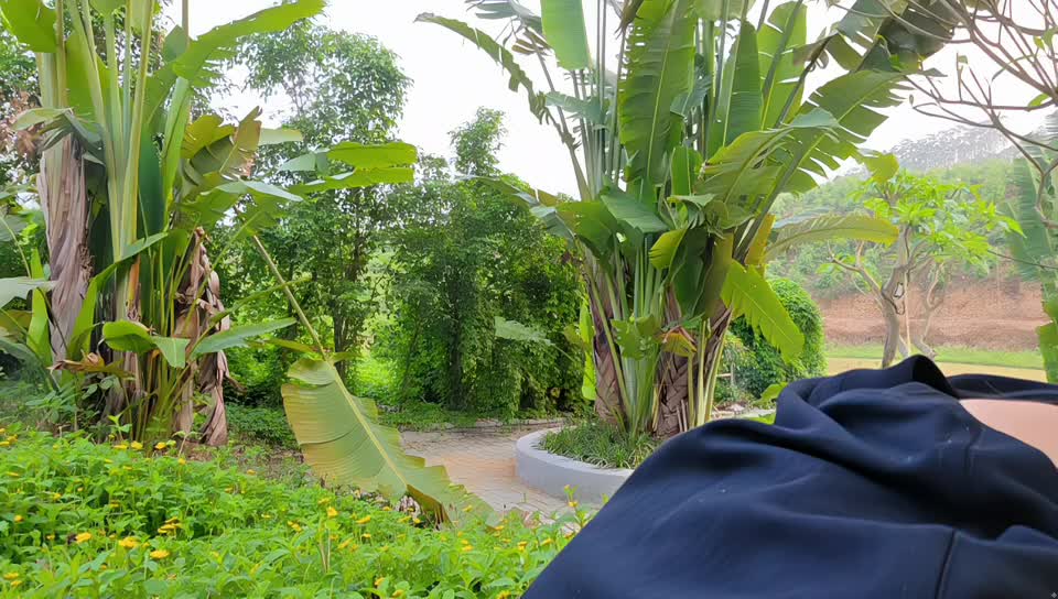 G 985基地 12点1000大西瓜