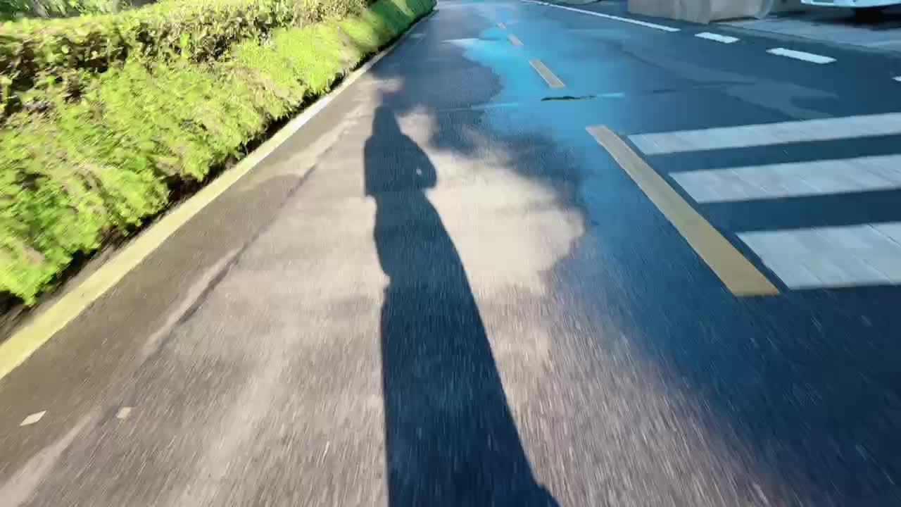到达武汉🚗虎牙🦷蓝莓🫐