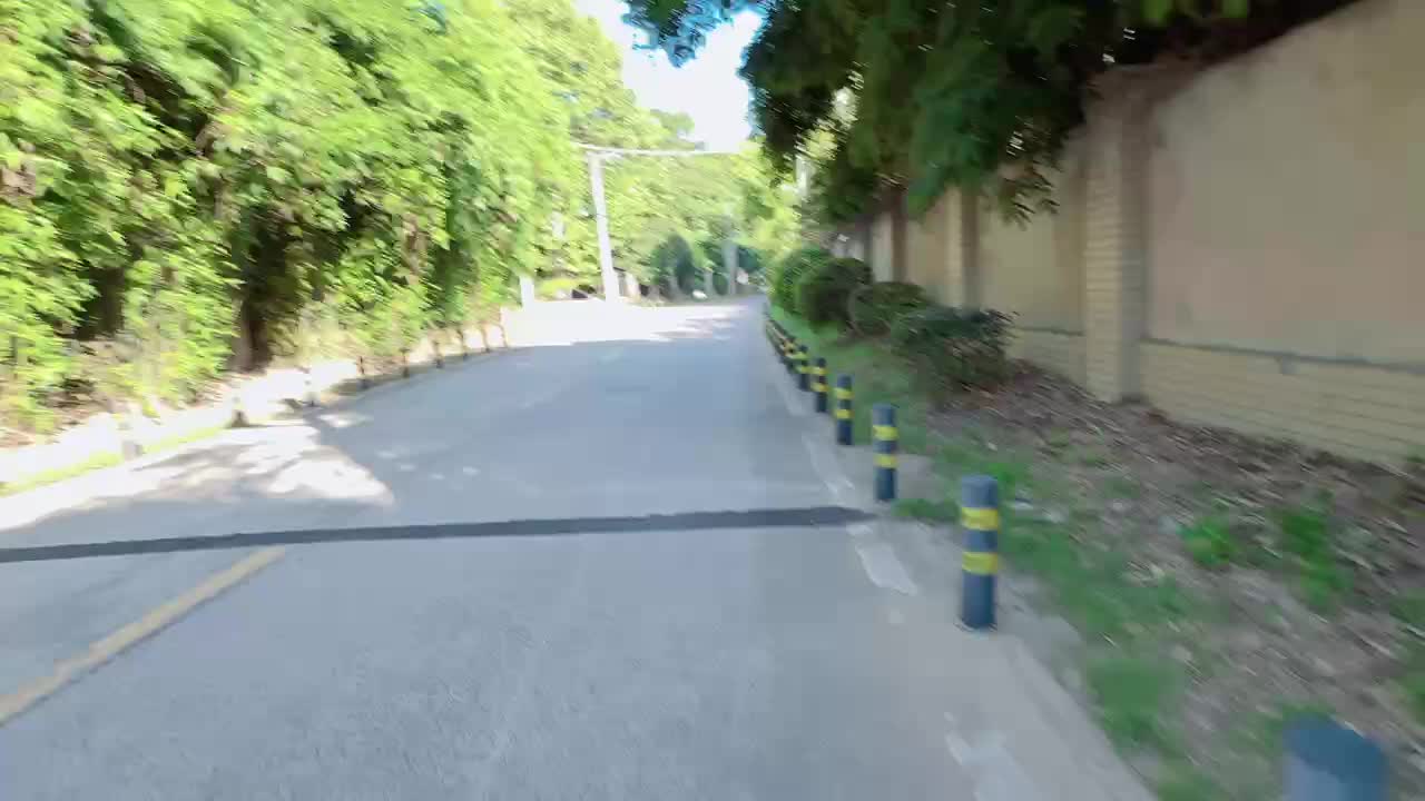 到达武汉🚗虎牙🦷蓝莓🫐