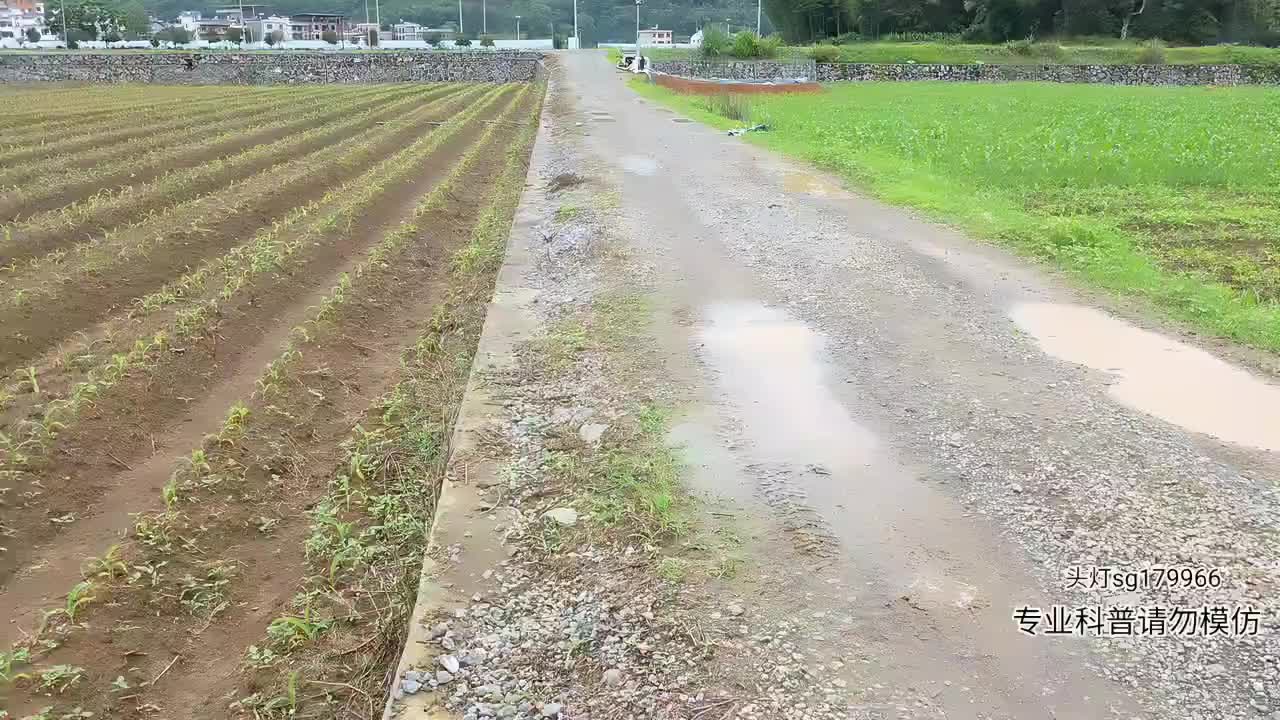 寻找眼镜王蛇
