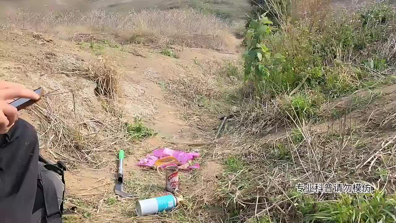 专业老师傅搞野生蜂蜜