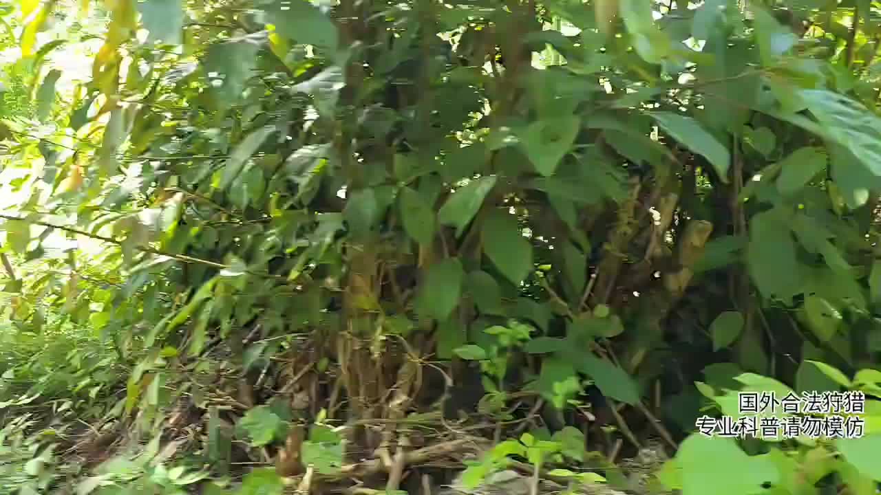 印泥行第二季（狩猎开始）