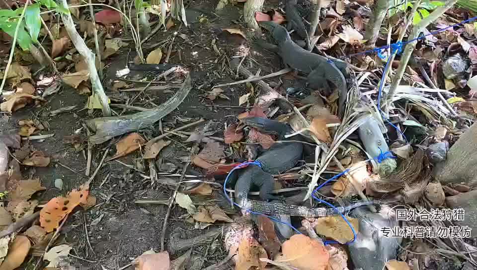 印泥行第二季，杀猪宴