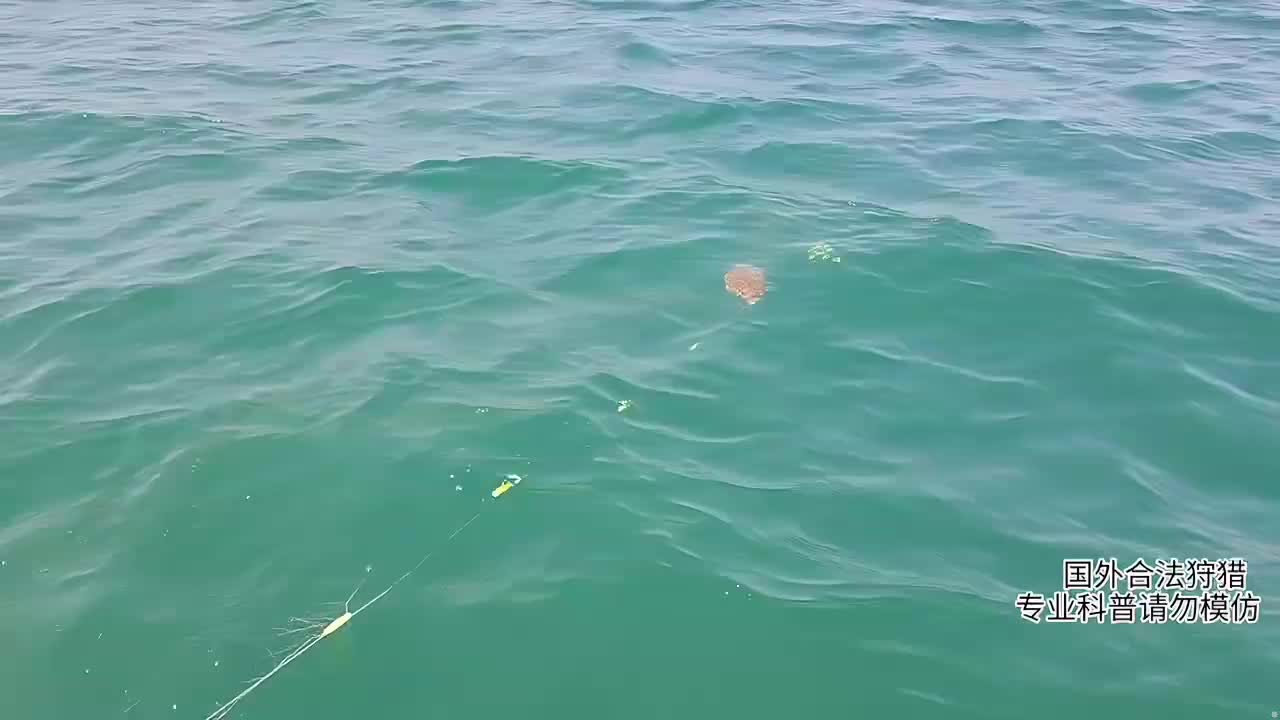 印泥行，出发海捕