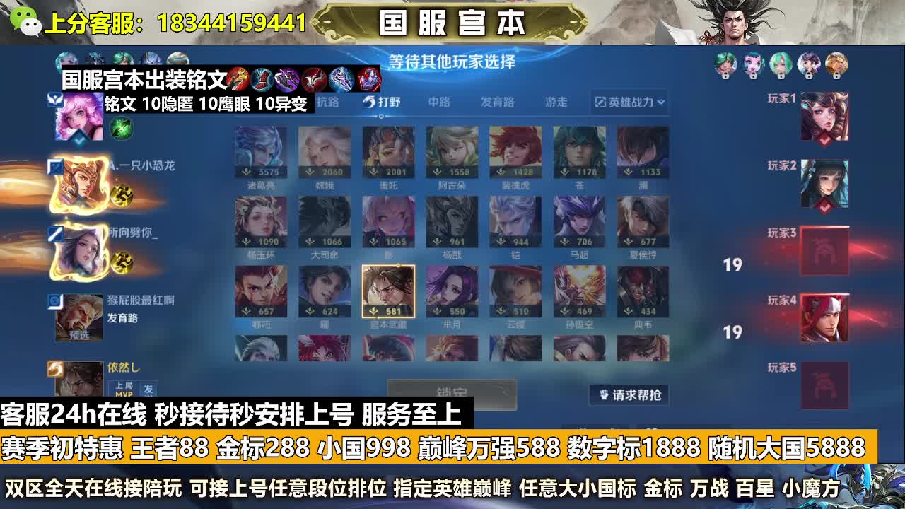 金标288王者88