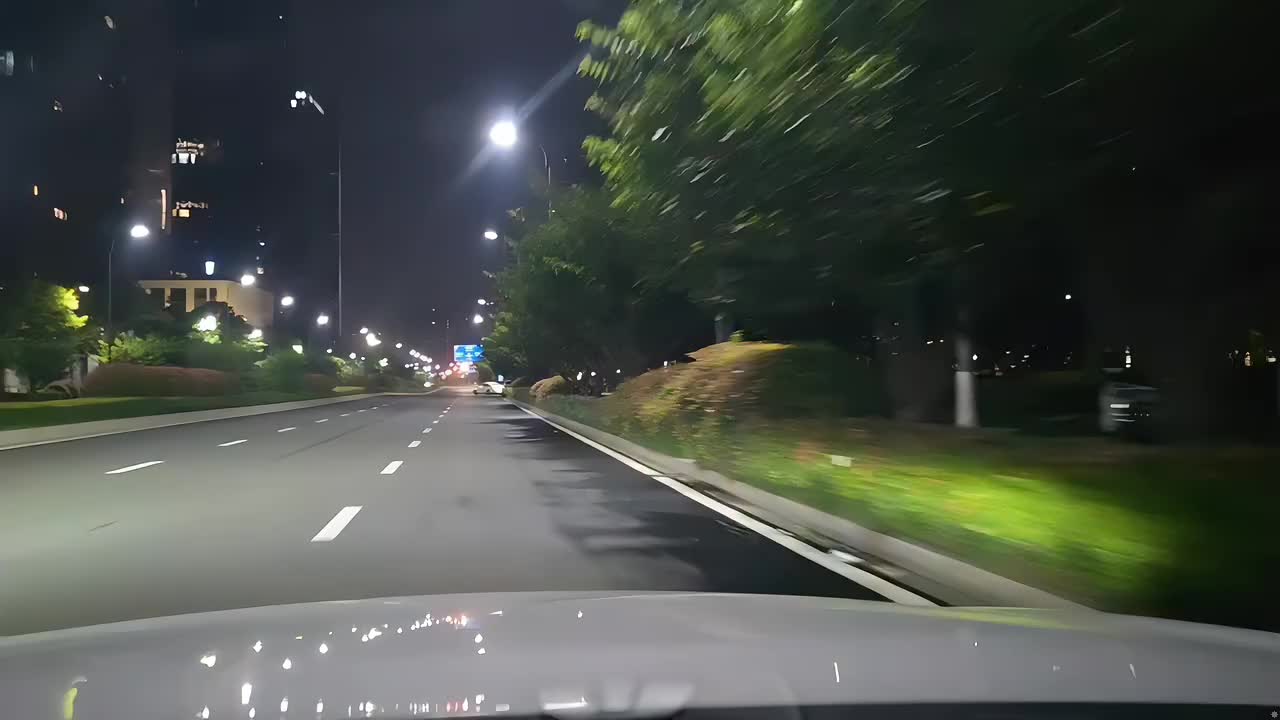 拉斯维加斯