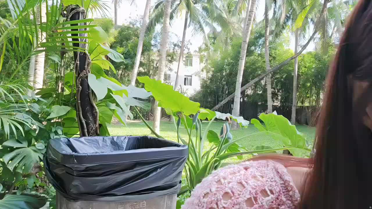 集梦满月 三亚296兜风