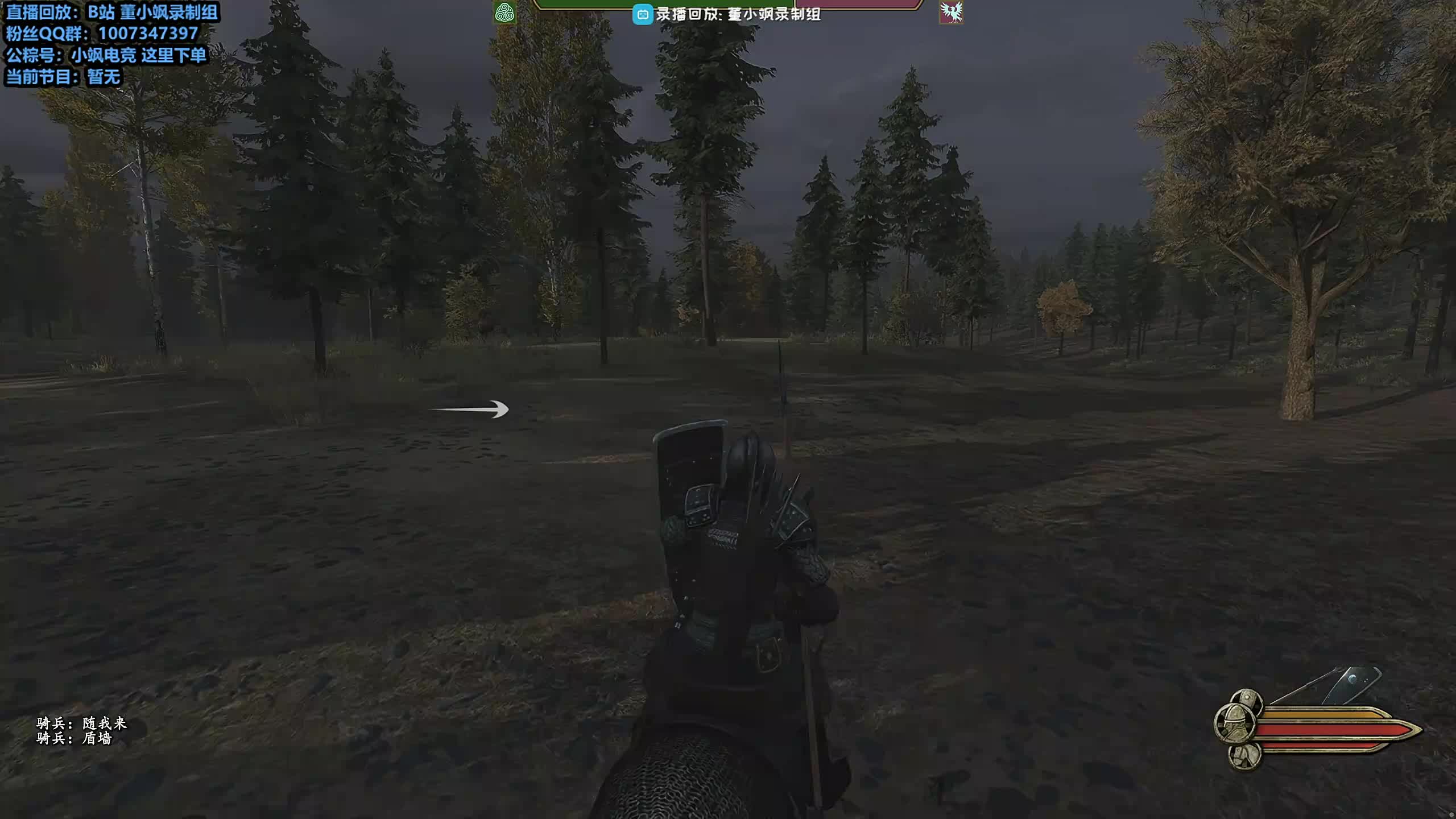 董导 骑砍2DLC 霸主难度