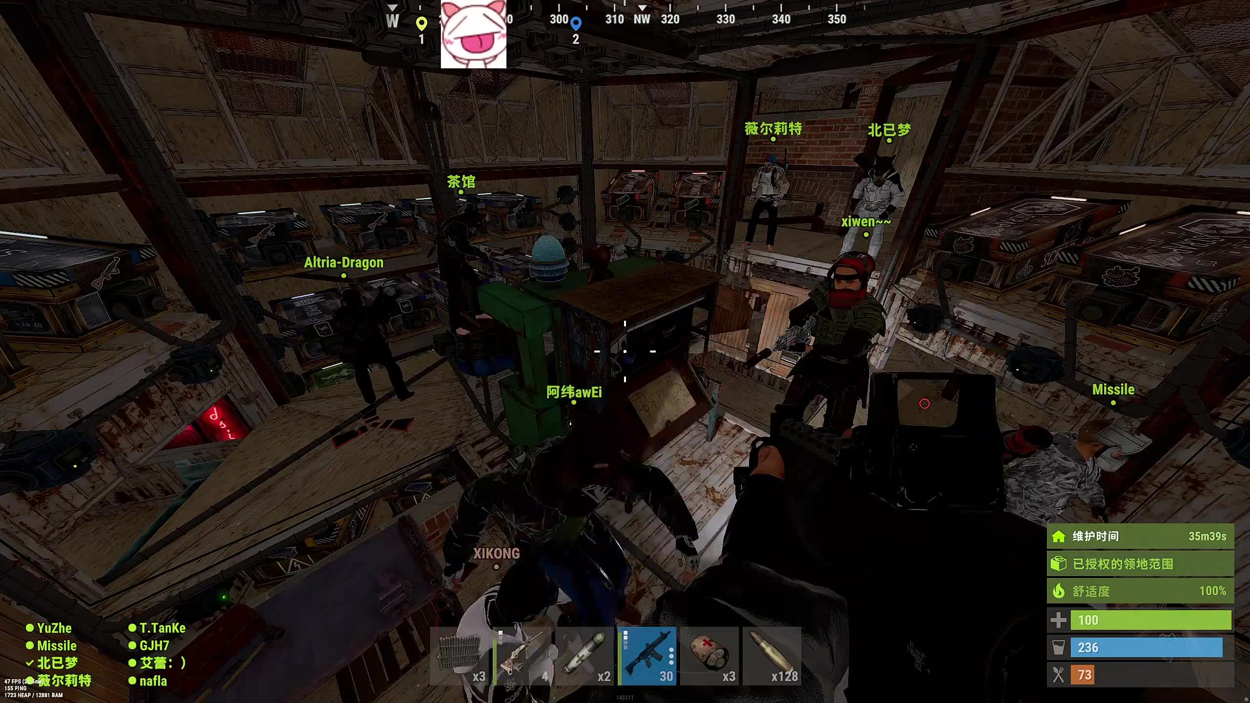 董导 rust 今天不抄厕所