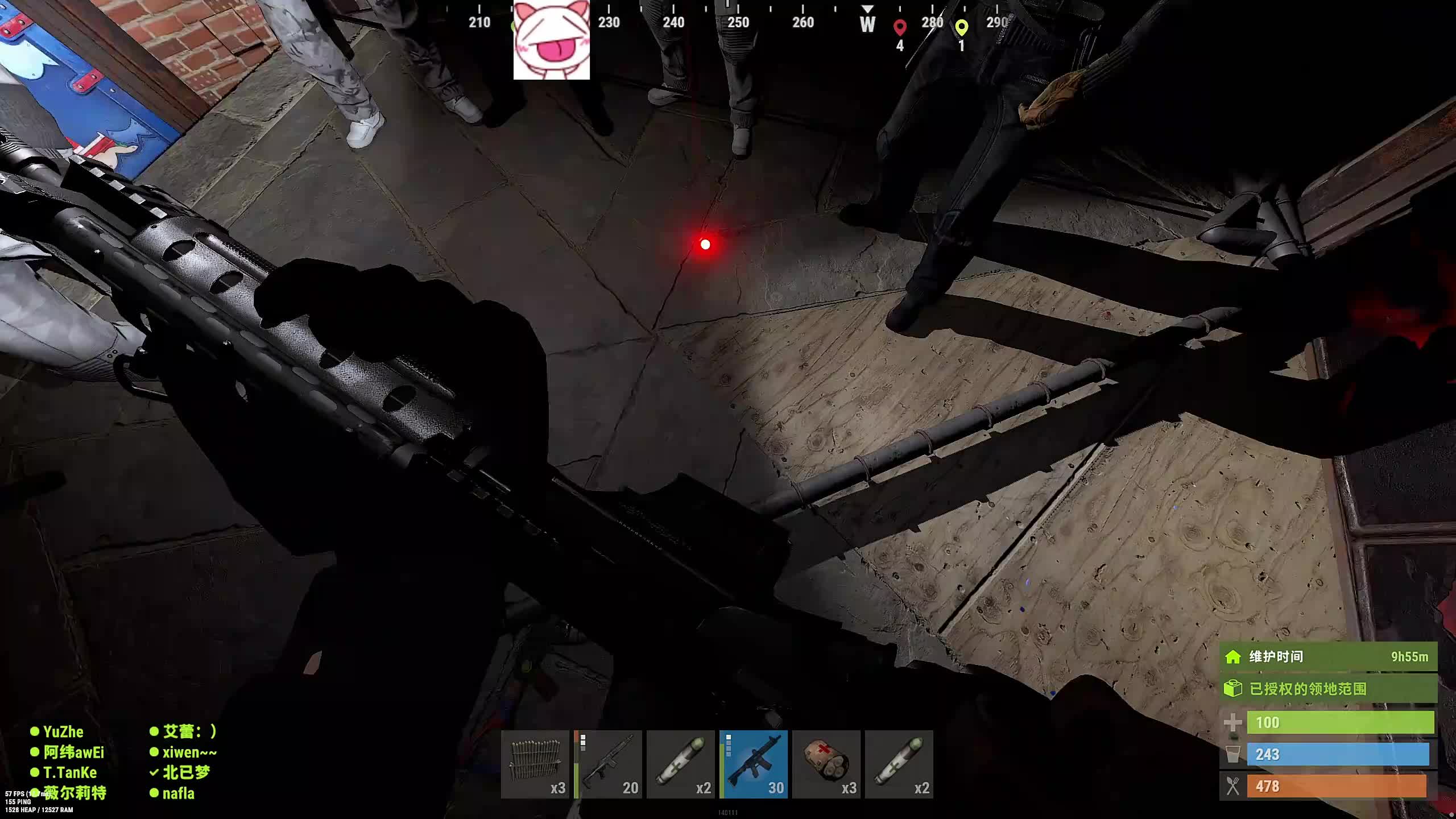 董导 rust 今天不抄厕所