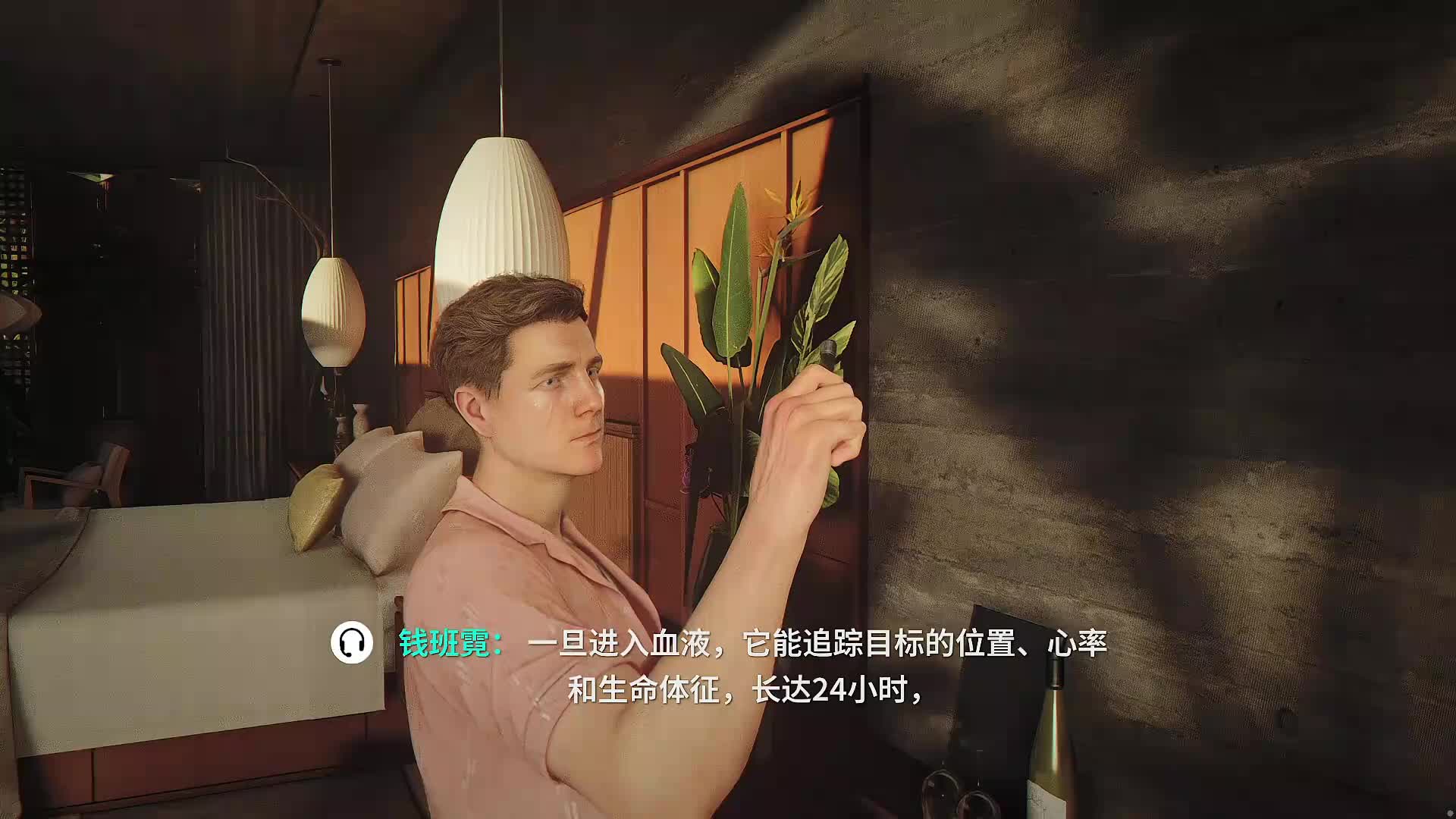 董导 007
